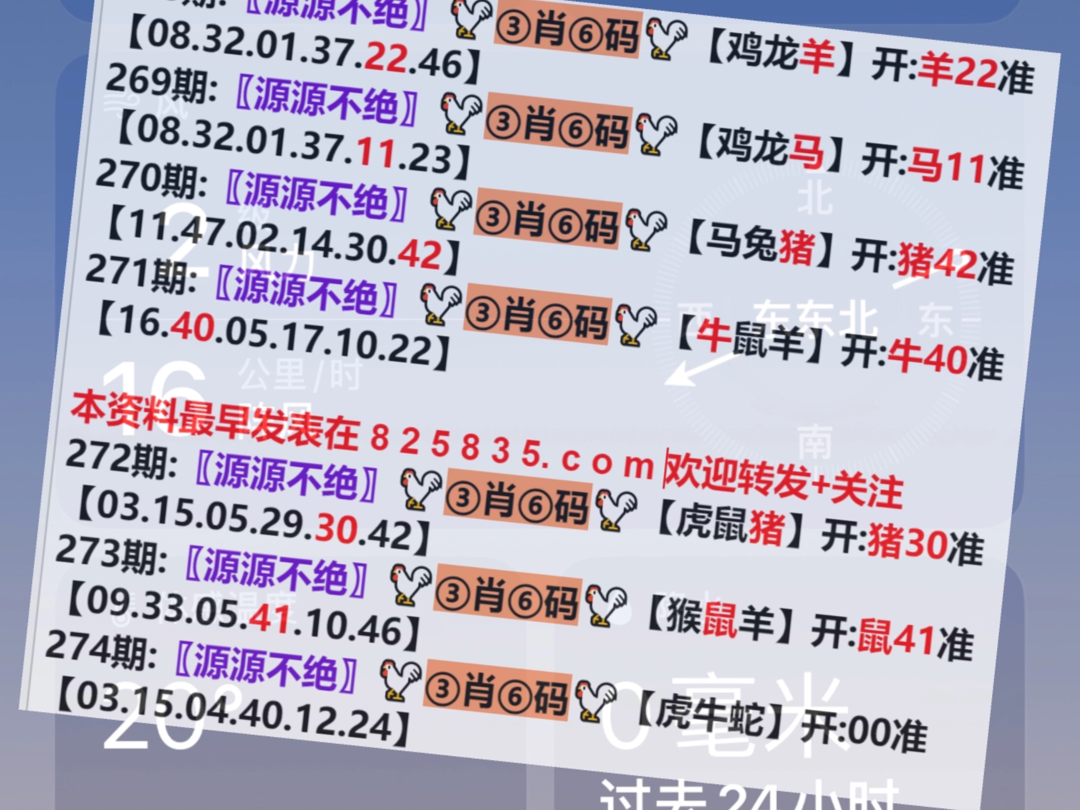 2024澳门天天开好彩资料?|精选解释解析落实