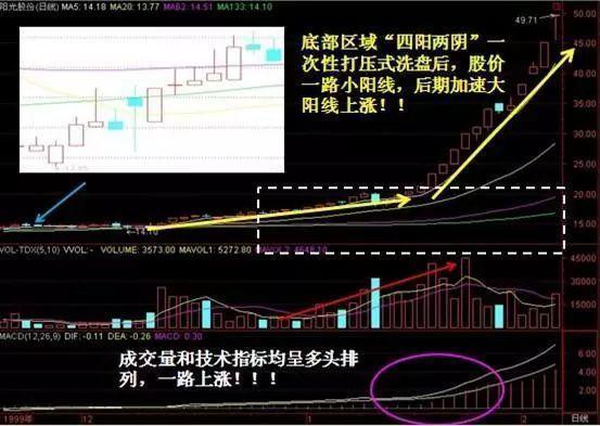 2024今晚澳门开特马开什么|精选解释解析落实