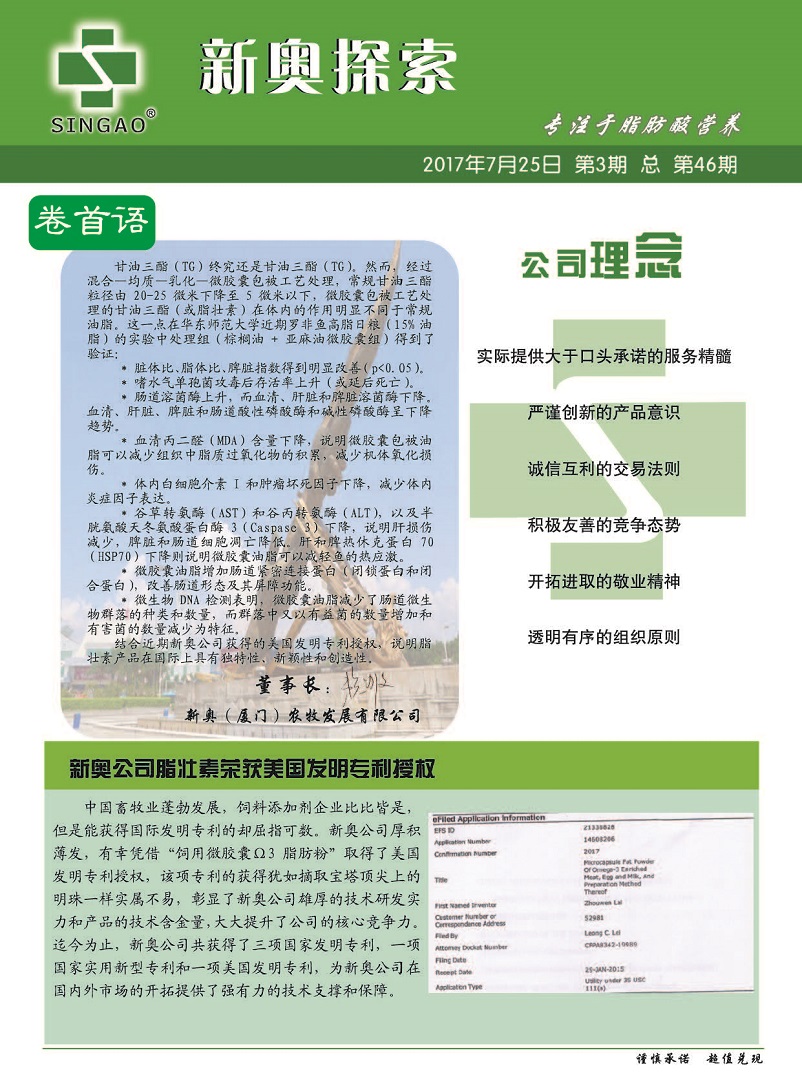 新奥今天最新资料晚上出|精选解释解析落实