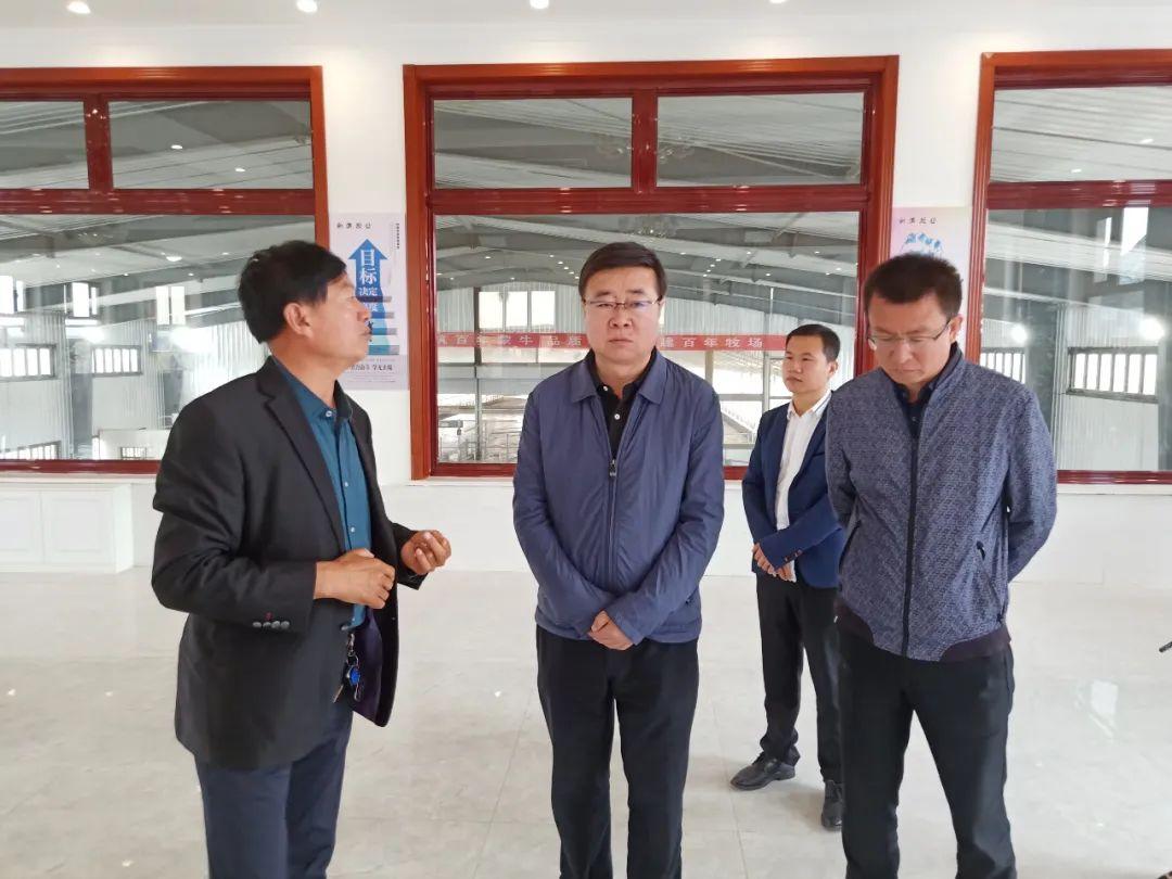 新澳准资料免费提供|精选解释解析落实