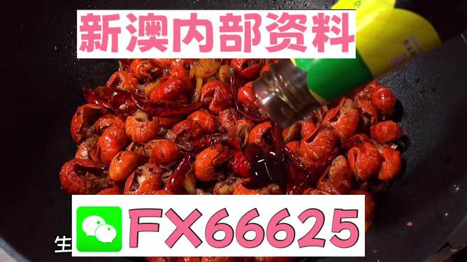 新澳2024年精准资料期期|精选解释解析落实