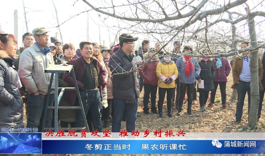 推荐 第167页