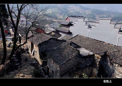 中原区冯湾村最新消息