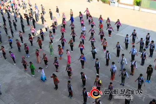 武定民族中学最新消息