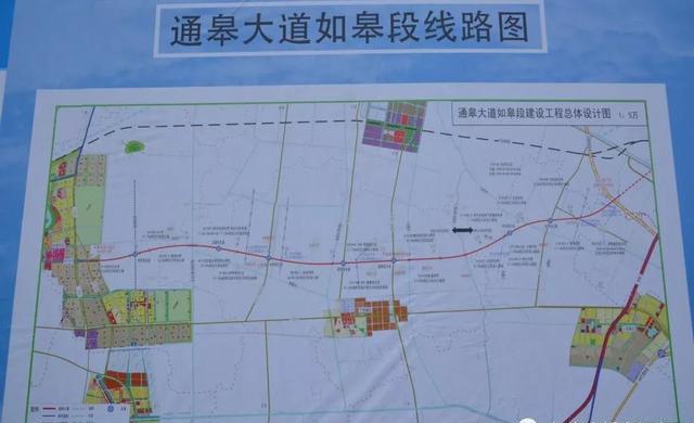 通皋大道最新消息