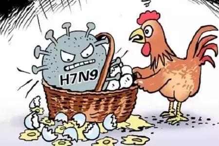 h1n9禽流感最新消息