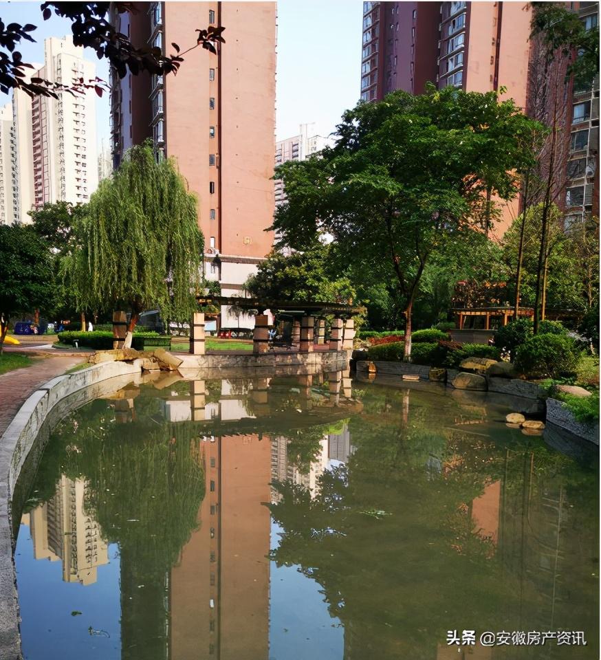 滨湖观湖苑最新房价
