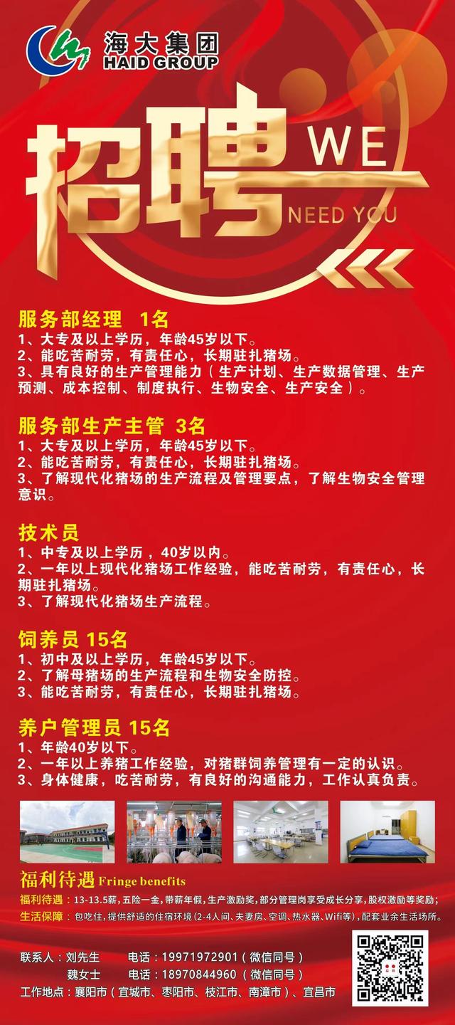 热门 第145页