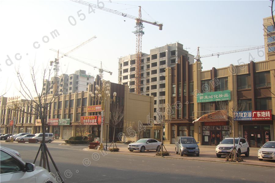 东营西苑丽景最新房价