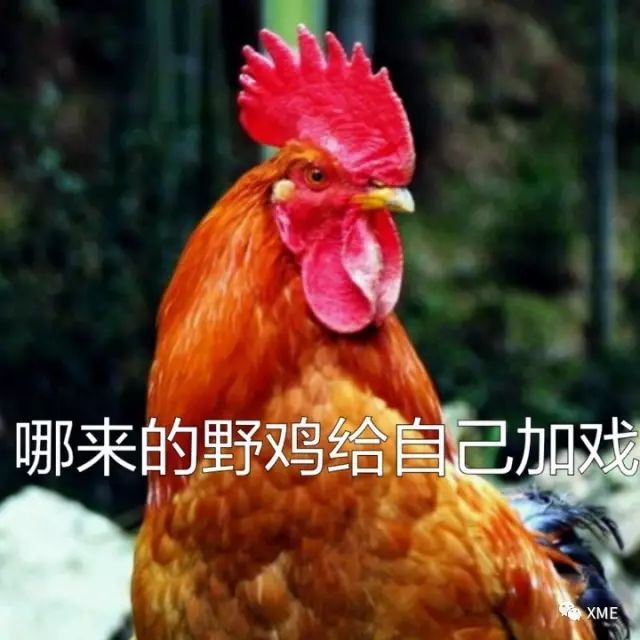 野鸡网视频最新地址