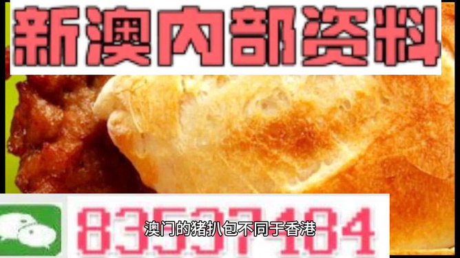 新澳内部资料精准一码|精选资料解析大全