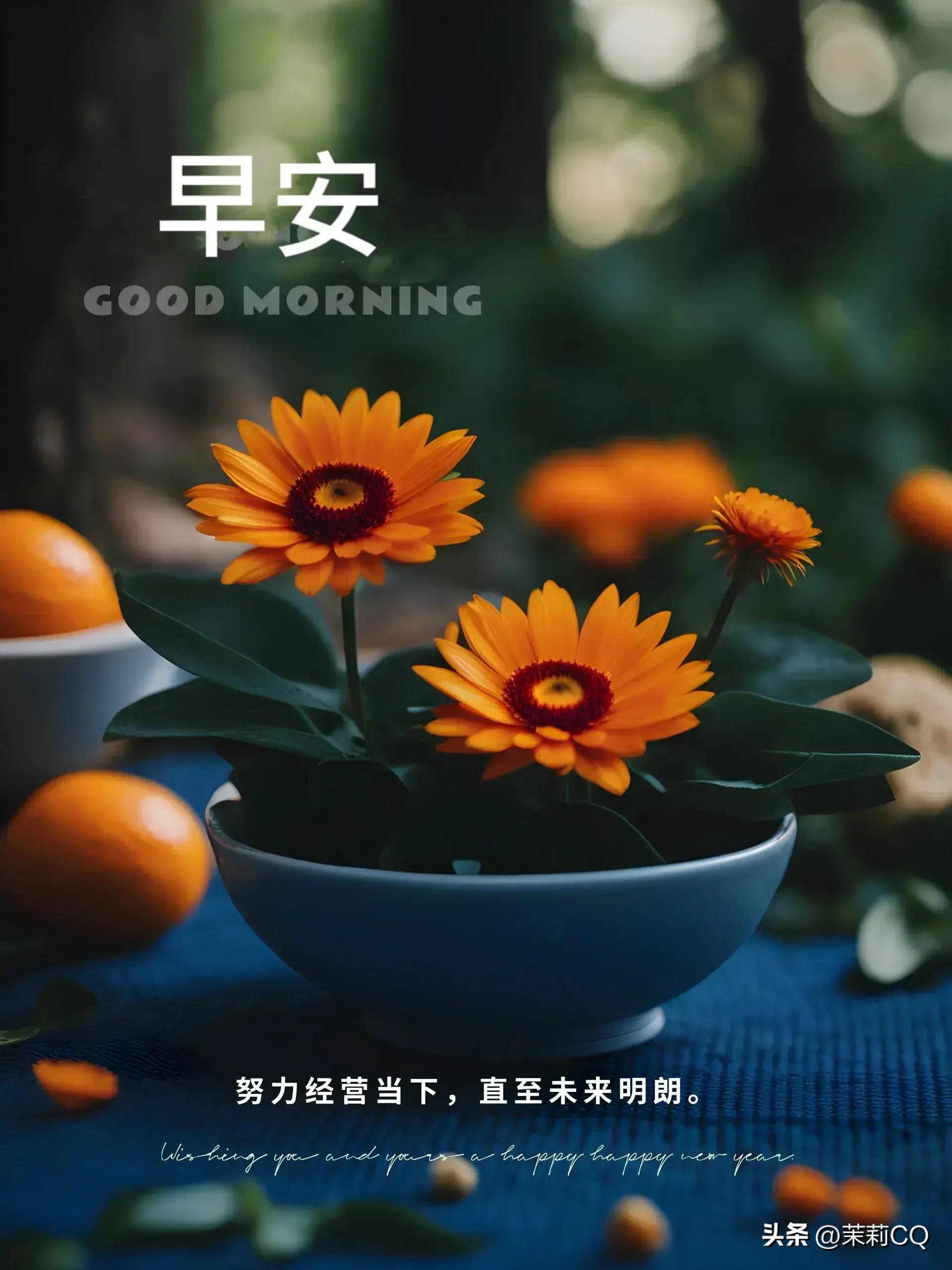 2024免费天天彩资料汇总600|精选资料解析大全