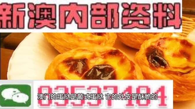 2024新澳精准资料免费提供网站|精选资料解析大全