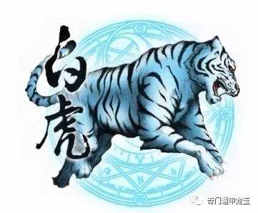 澳门白虎玄机精准玄武|精选资料解析大全