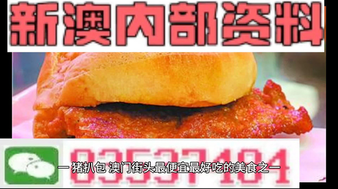 2024新澳精准正版资料109|精选资料解析大全