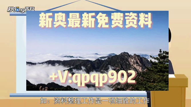 揭秘2024新奥精准资料免费大全第078期|精选资料解析大全