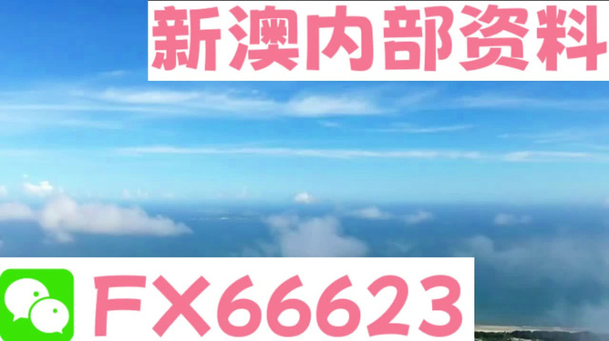2024新澳精选资料免费提供|精选资料解析大全