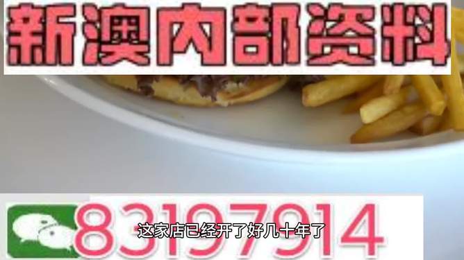 2024澳门资料大全正版资料|精选资料解析大全
