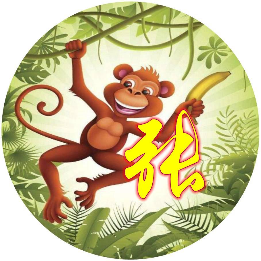 张姓取名字大全2016最新版