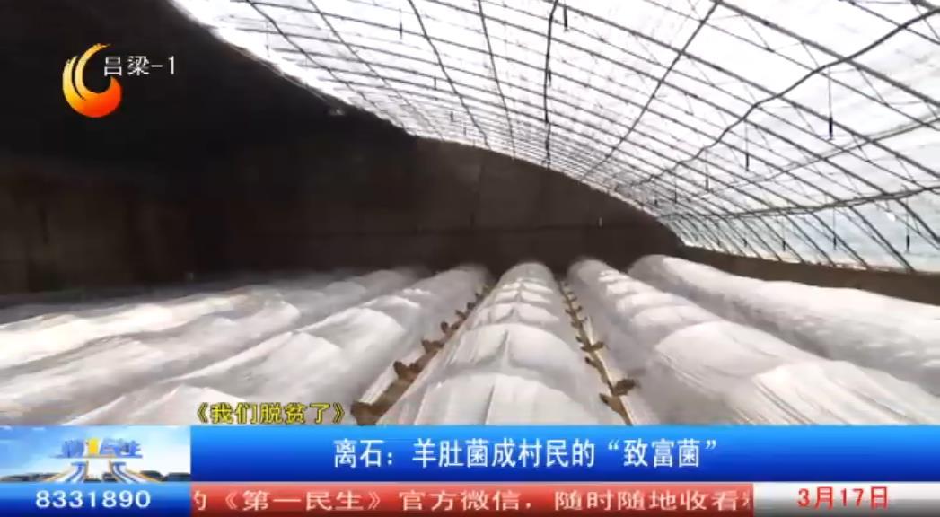 离石坪头乡最新新闻