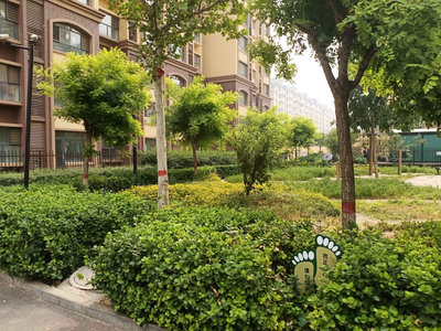 深州中通御景最新房价