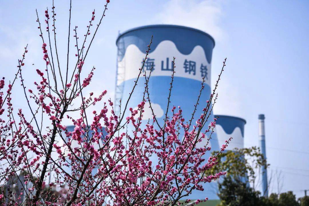 梅山钢厂搬迁最新消息全面解读