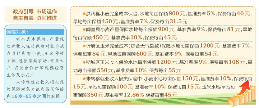 最准一码一肖100%凤凰网|精选解释解析落实