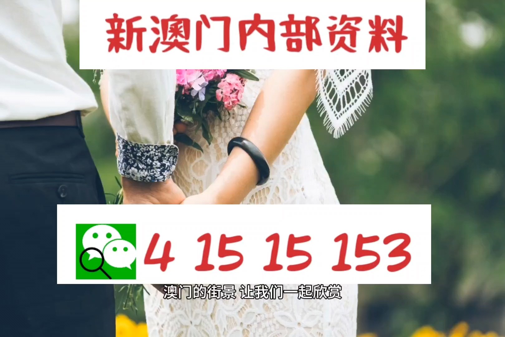 2024澳门精准正版图库|精选解释解析落实