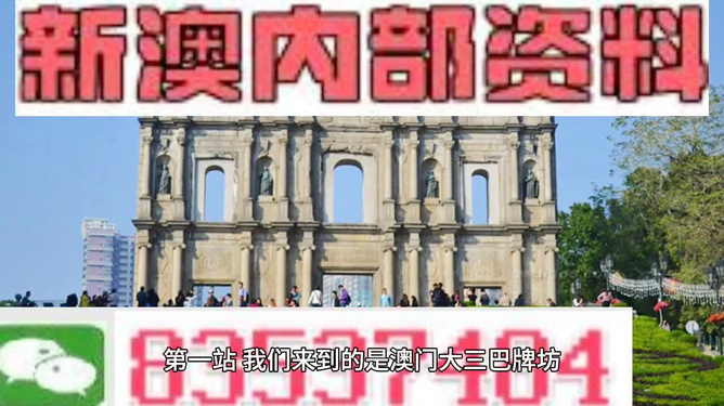 2024年澳门精准正版资料|精选解释解析落实