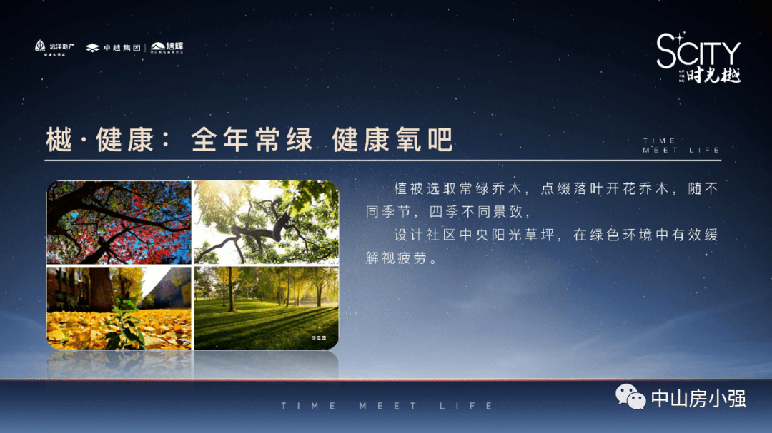 2024新澳门天天开奖攻略|精选解释解析落实