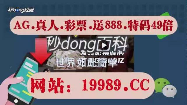 2024澳门天天开好彩大全69|精选解释解析落实