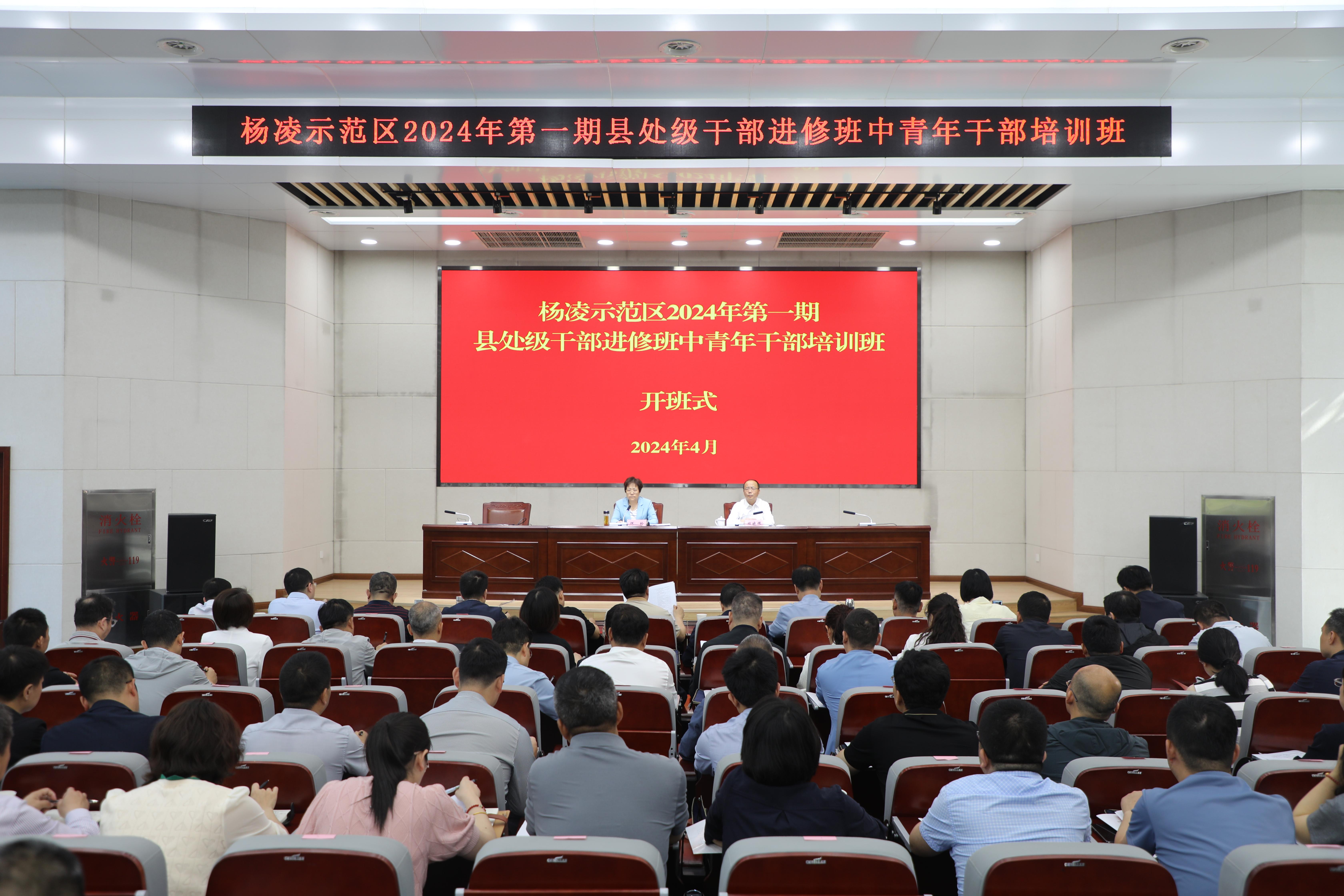 2024全年資料免費大全優勢?|精选解释解析落实
