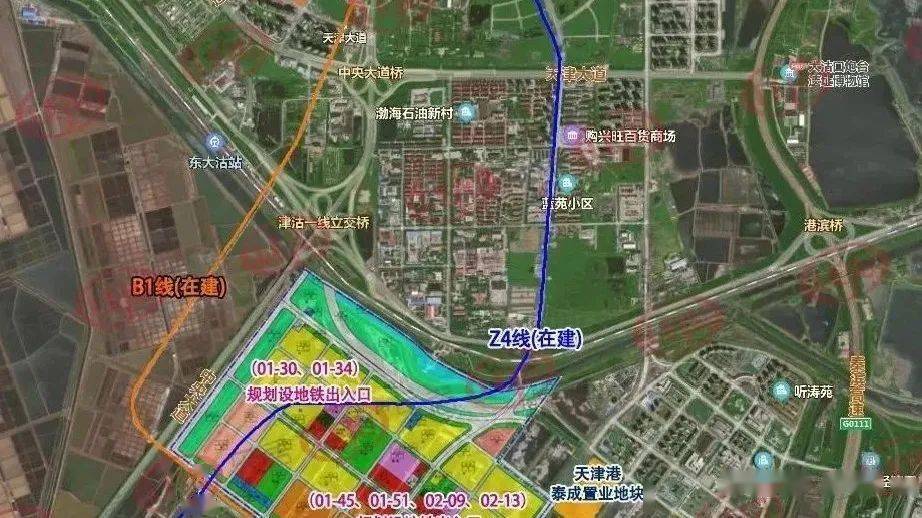 滨海新区b1最新消息