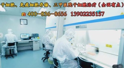 安沂华干细胞最新进展