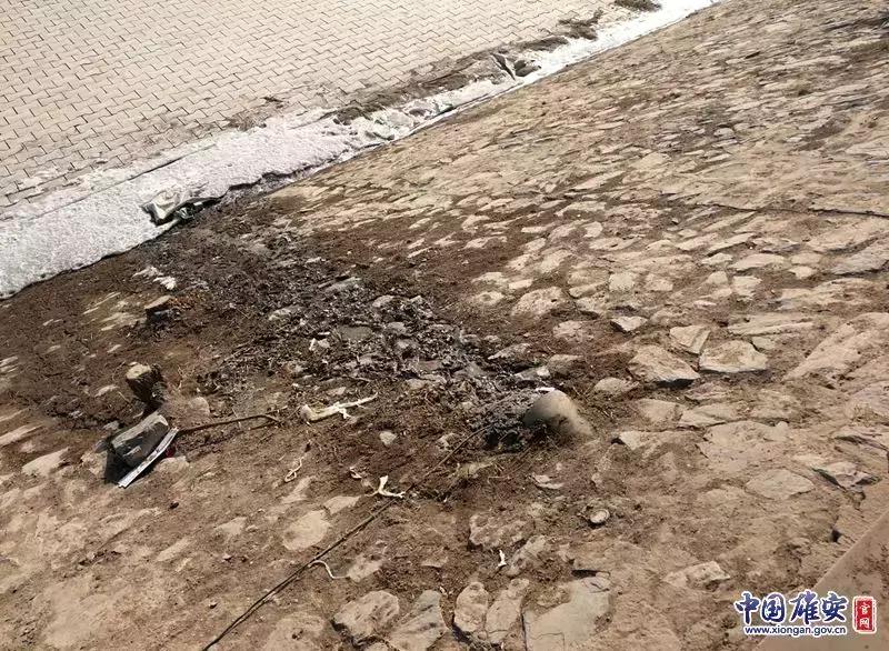 澳门 第123页