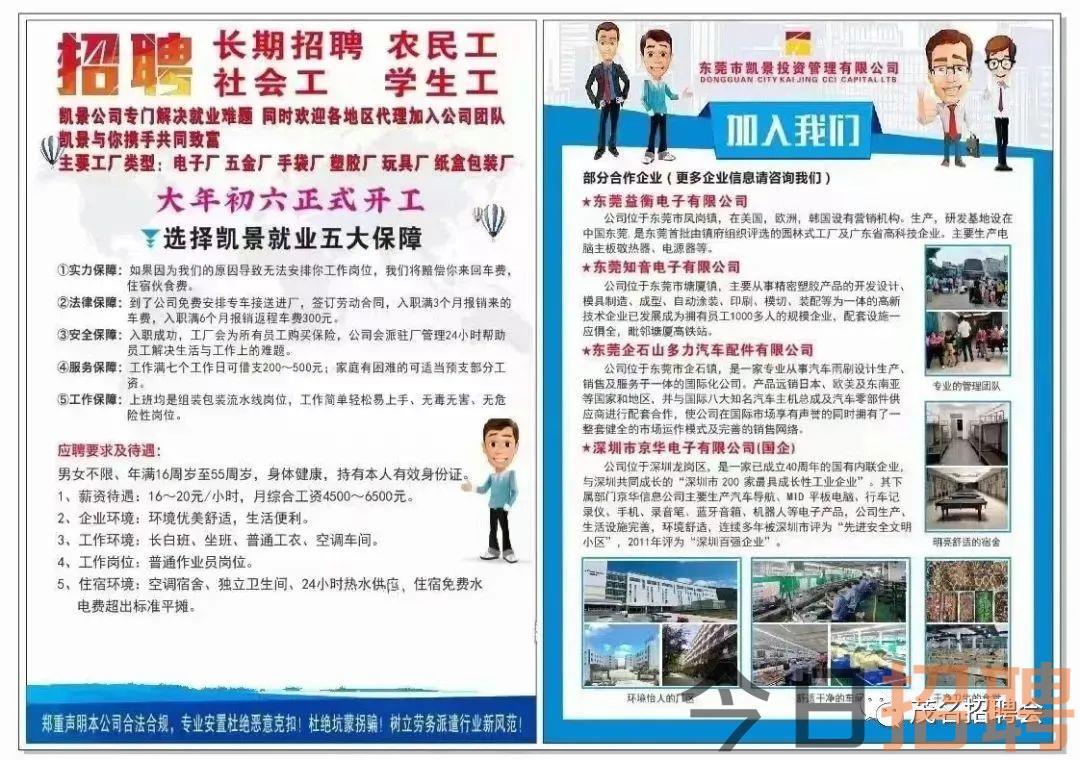 江门危运司机最新招聘