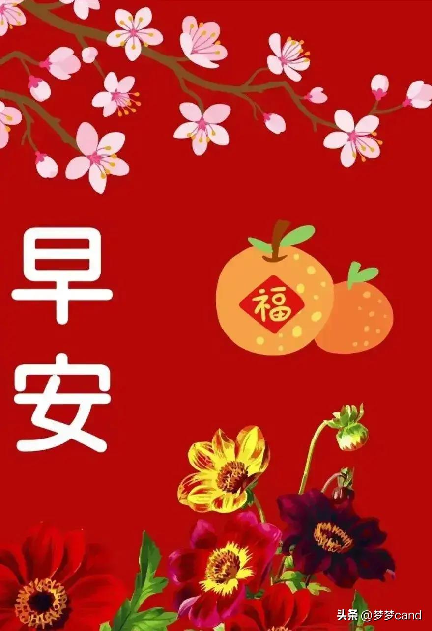 2024天天彩资料大全免费|精选资料解析大全