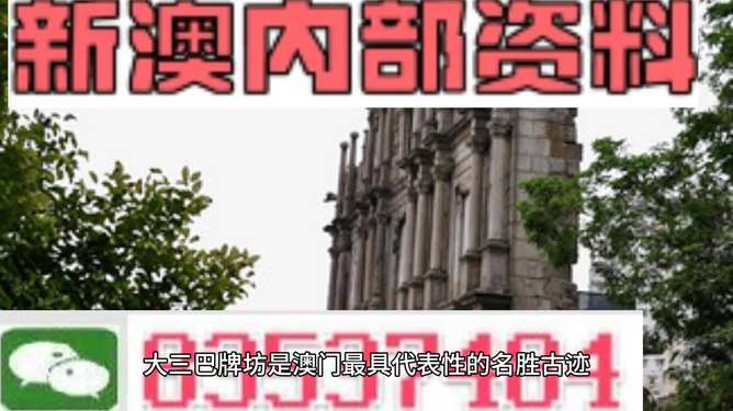 4949澳门精准免费大全2023|精选资料解析大全
