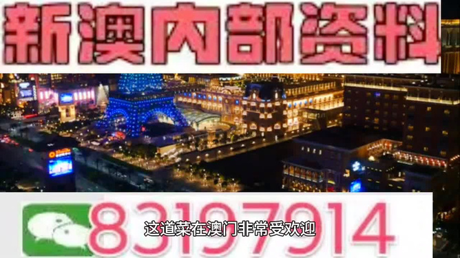 新澳2024年精准资料33期|精选资料解析大全