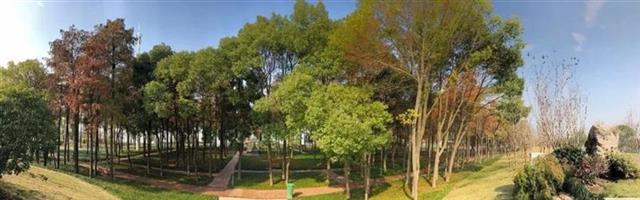 青山二期江滩最新实景