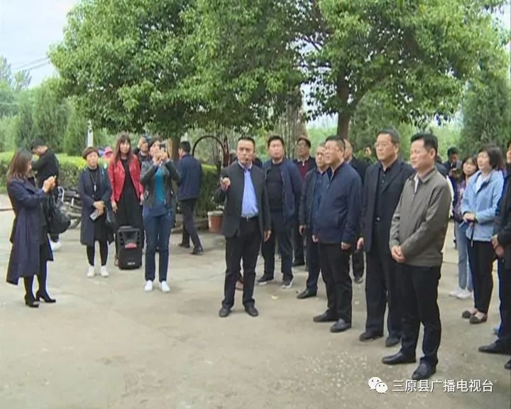 三原县最新新闻王兴虎
