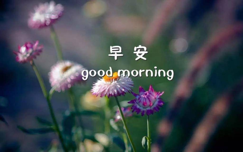 早晨的空气是最新鲜的